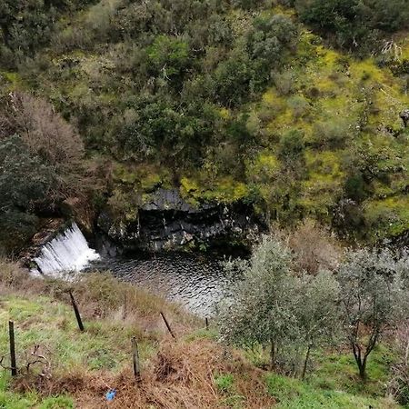 Casa Do Avo Alvaro - Refugio Do Rei Casal do Rei  Zewnętrze zdjęcie