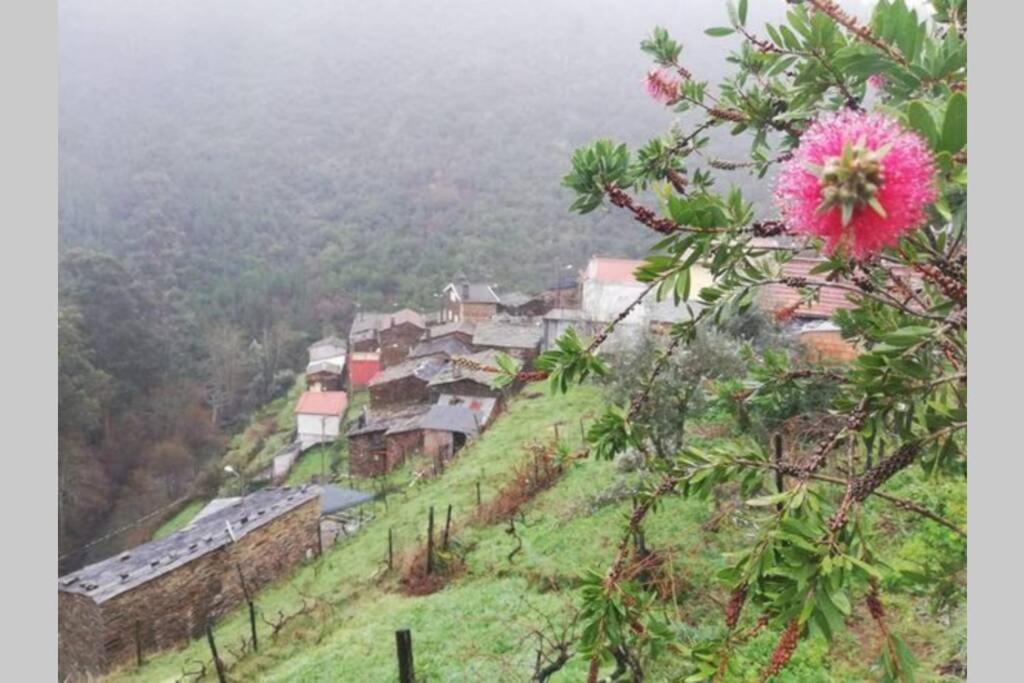 Casa Do Avo Alvaro - Refugio Do Rei Casal do Rei  Zewnętrze zdjęcie