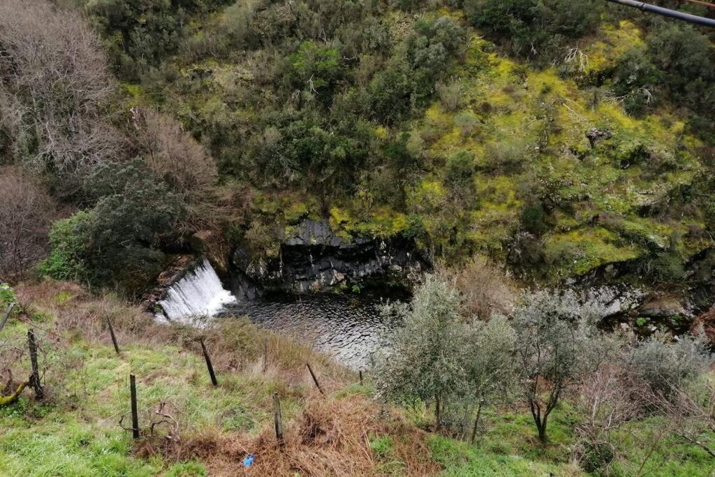 Casa Do Avo Alvaro - Refugio Do Rei Casal do Rei  Zewnętrze zdjęcie